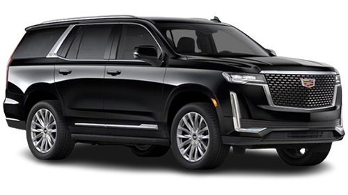 How to Choose the Right Vehicle for Your NJ Wedding Transportation